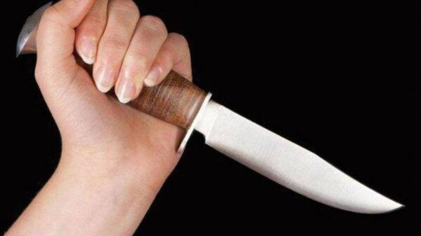 Ученик напал на одноклассников с ножом в Домажељице