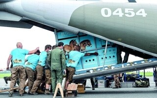 Пражский зоопарк играет ключевую роль в спасении редких лошадей Пржевальского
